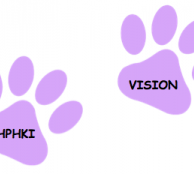 ADHPHKI Vision